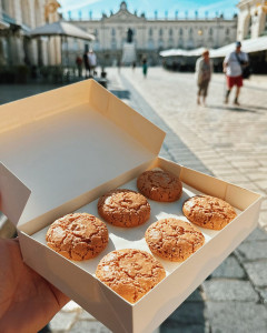 Macarons Place Stanislas 240x300