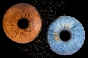 iris4 300x200
