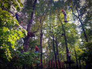 people in helmets climb trees in an extreme park f 2023 11 27 05 33 17 utc 2048x1536 1 300x225