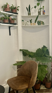 IMG 7289 169x300