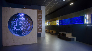 csm galeries nautilus 1 2020 1920x1080 8ca026cb8d 300x169