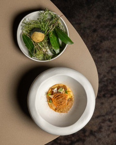 Calice Oignon 17.04 240x300