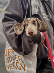 Capture decran 2025 10 31 a 13.38.17 223x300