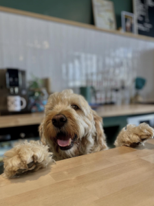 Capture decran 2025 10 31 a 13.38.23 224x300