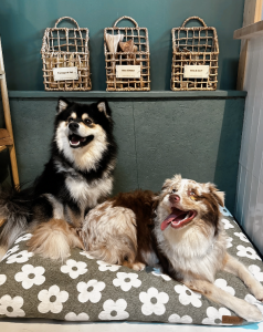 Capture decran 2025 10 31 a 13.38.33 238x300