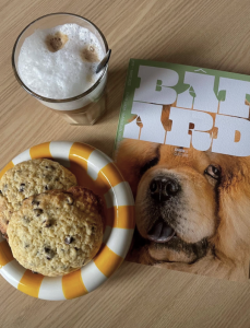 Capture decran 2025 10 31 a 13.38.47 229x300