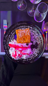 IMG 0681 jpg 169x300