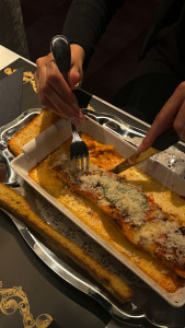 IMG 1499 jpg 169x300