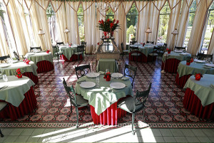 Jardin Dhiver  salle 300x201