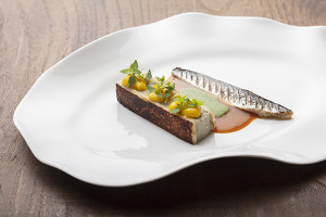 P6A3312copie 300x200