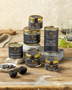 PLANTIN NOV24 PDANIEL 039 240x300