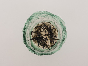 PLAT @NICOLAS ANETSON 300x225