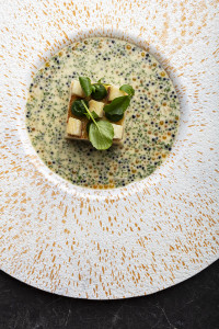 PLAT SIGNATURE aureliorodriguezphotographe  200x300