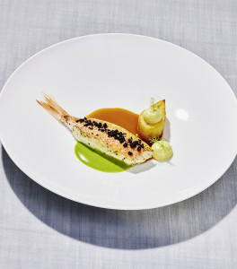 Sans titre 1 3 264x300