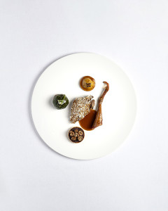 arnaud viel 2025 Le pigeonneau 240x300