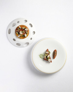 arnaud viel 2025 tomate 240x300