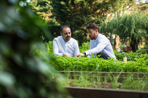 cedric burtin juin 2024 jardin exterieur 88 300x200