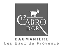 logo cabro or