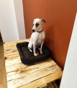 Capture decran 2025 12 18 a 16.18.04 264x300