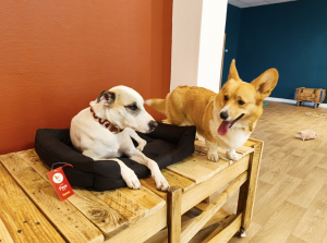 Capture decran 2025 12 18 a 16.18.16 300x223