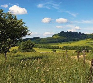 copyright gberger cd54 66954 600x534 1 300x267