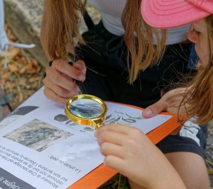 copyright gberger cd54 83768 600x533 1 300x267