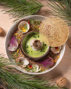 Derriere 5 sur 23 1 240x300