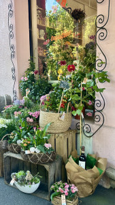 tempImagejx8tUD 169x300