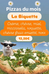 Photoroom_20260201_135513